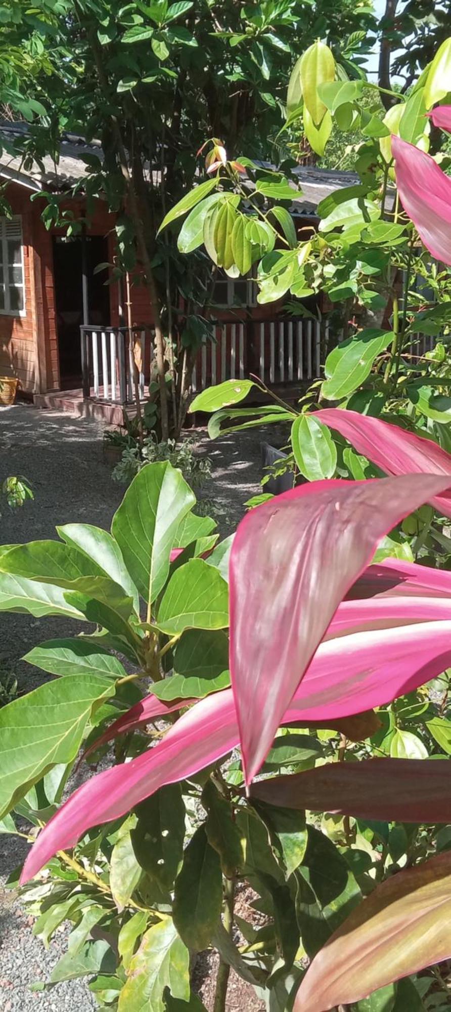 My House Ahangama Exterior photo
